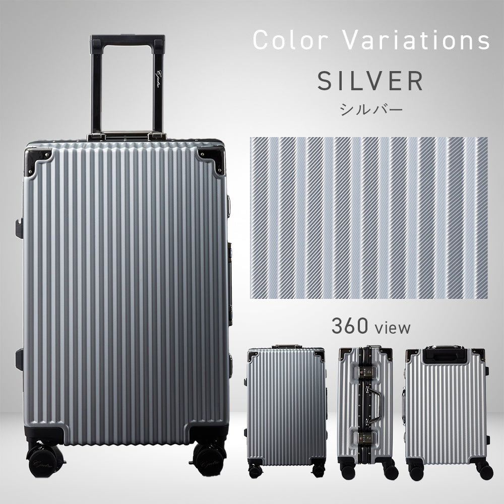 suitcase_r_c_silver.jpg__PID:cad38333-737c-4039-8dc7-202892b53d14